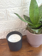 Moonlit Musk Coconut Soy Ceramic clean Candle