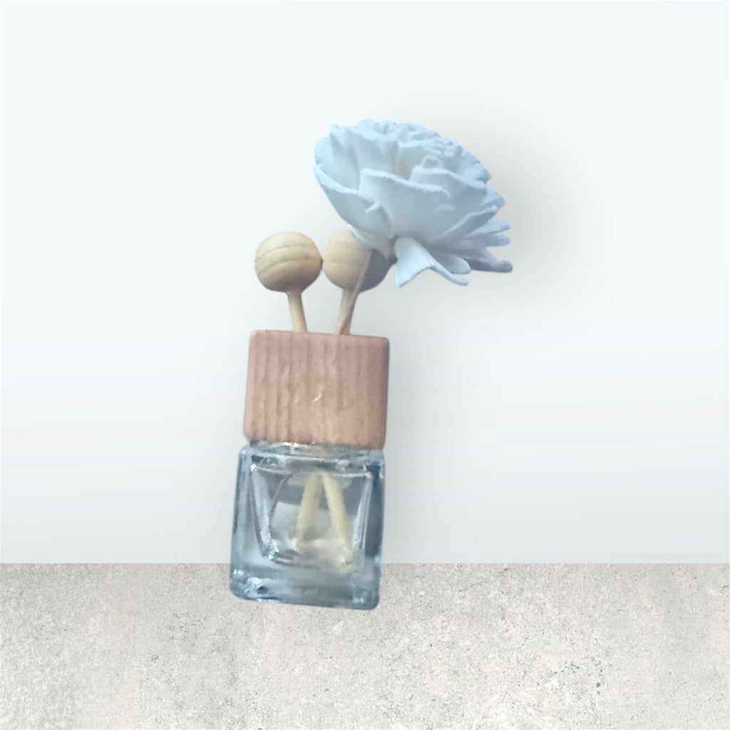 Boho vent car diffuser with reeds