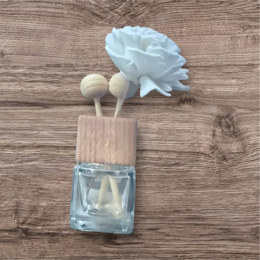 Boho vent car diffuser with reeds